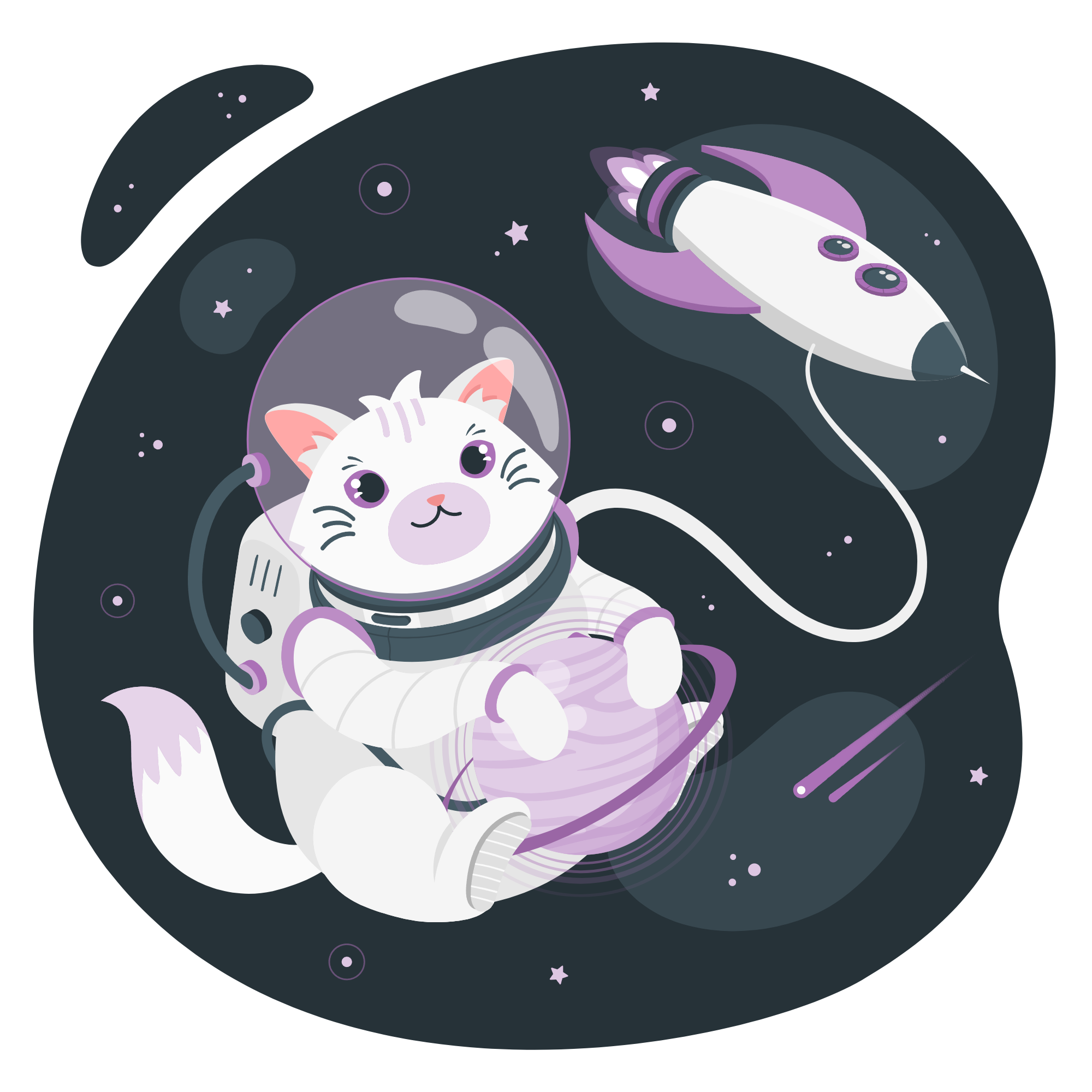 space cat